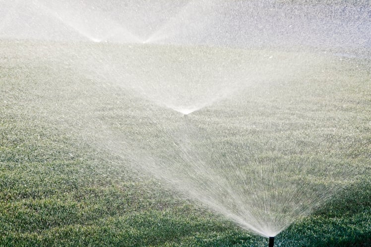 Blow out sprinkler systems with your compressor